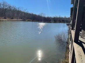 Fisherman's Cabin - Private Lake - Image 5