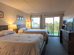 Lower Level Cedar Lodge Room! - Image 2