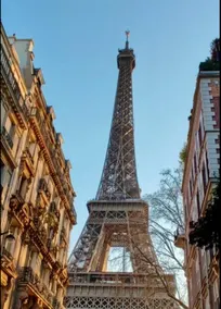 Visit and work near Paris - Image 5