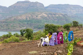 Bhandardara Bliss: Superior Cottage - Image 5