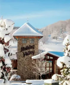 Bear Lodge - Image 3