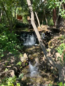 Castle Creek Escape | Creekside I Dogs Welcome - Image 3