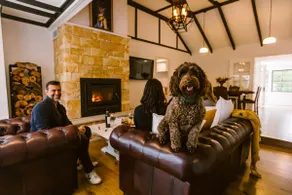 Pet-Friendly Highlands Home with Fireplace - Image 2