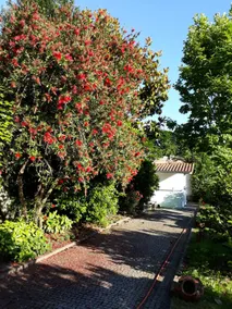 Vila Jusã - Image 5