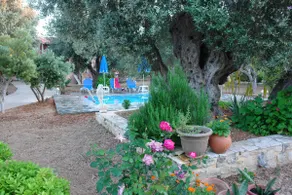 Villa Afroditi in Cretan nature - Image 2