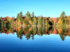 Lakefront Paradise - Image 5