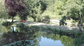 Gite Charette, near Puy du Fou - Image 3