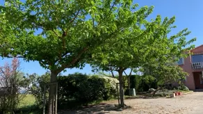 ” Villa 330 ” - Image 3