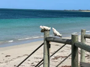 Pelican Vista - Image 2
