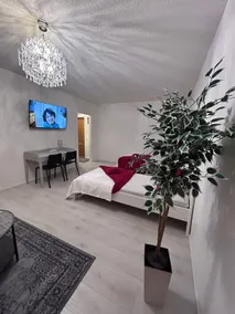 BlueSolarPearl R - Alternative to accommodation - Image 2