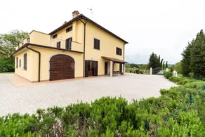 The Almond in Tuscany - Image 5
