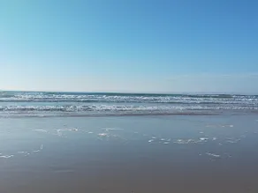 As close to the ocean as possible! - Image 4