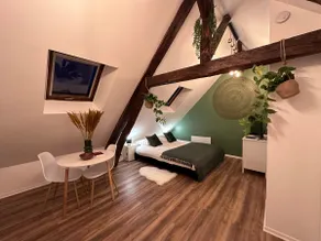 Le Nid Douillet - Hypercentre - Studio - Image 4