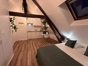 Le Nid Douillet - Hypercentre - Studio - Image 2
