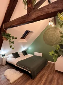Le Nid Douillet - Hypercentre - Studio - Image 3