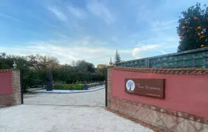 FINCA ALMAZARA - Image 2