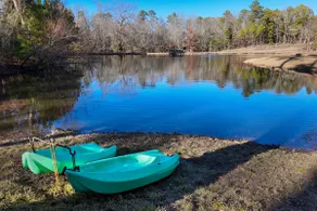 Cabin Masterpiece on Private Lake - Image 5
