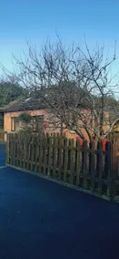 Orchard Cottage - Image 4