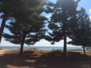 Lakehouse Between the Pines - Image 4