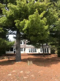 Lakehouse Between the Pines - Image 3