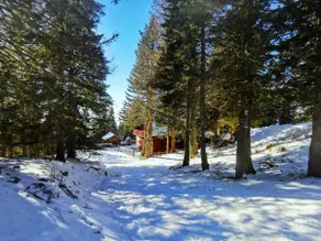 On the ski slope - Image 5