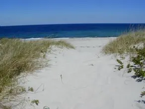 Oceanside B - SD142 - Image 4