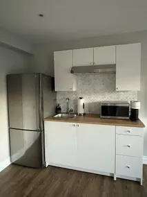 Bright Studio W/ Separate Entrance - 15 min to TTC - Image 4
