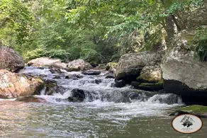 Brook Trout Cabin +Twins Loft @Doe River Landing - Image 3
