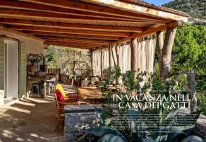 la Casa dei Gatti a Seccheto, una chicca - Image 2
