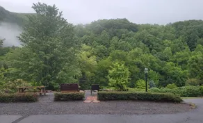 ~ * ~ Chalet Maggie Valley ~ * ~ 5 minutes de Parkway * 10 minutes de la station de ski * WiFi * - Image 2