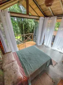 Glass Suite with Waterfall in the Backyard - Image 3