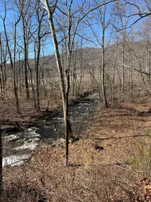 River Front Mountain Views (Old Rag, SNP) - Image 2