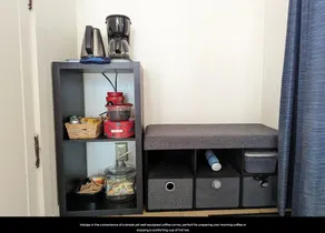 Tortoise Studio - Image 4