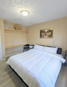 FRESH KING Sized Guestsuite, Wooded Acre! - Image 2
