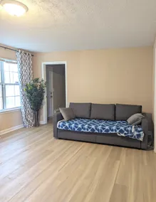 FRESH KING Sized Guestsuite, Wooded Acre! - Image 3