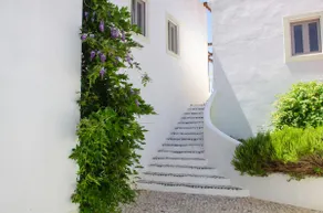 Eucalyptus House (T3) - Estremoz, Évora - Image 4