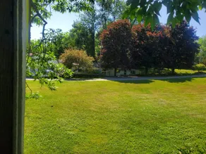 Spacious 2br/2ba Cottage, River Access Free Kayaks - Image 4