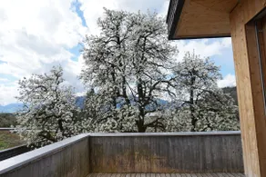 100 m² penthouse with air conditioning - Image 5