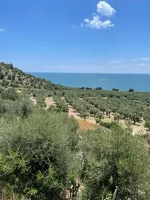 Villa Torre di Lupo by Casa Manfredi - Image 3