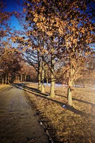Haven In The City - Noblesville - Image 3