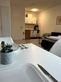 Studio apartment/trade fair apartment - Image 5