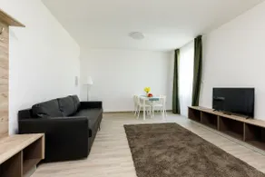 PARK Apartments in Balatonszárszó - Image 2
