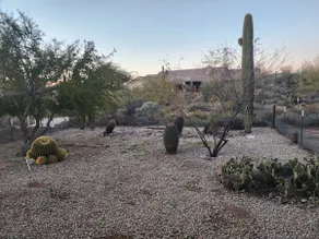 Cozy Home in North Scottsdale - Image 4