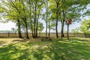 Studfarm Bugac - House Toldi 1 - Image 5