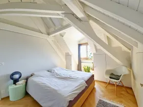 Attic Apartment / Penthouse - Image 2