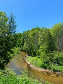 Secluded Betsie River Cabin 3bd+2ba+Loft by Crystal Mtn,8acres,Porch,Fireplace! - Image 2