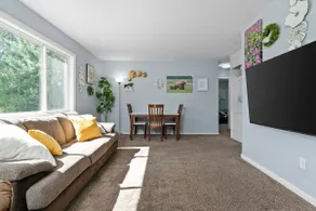 Pied Piper Pad in UMED (4) - Image 2