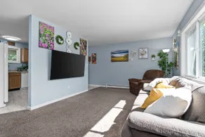 Pied Piper Pad in UMED (4) - Image 3