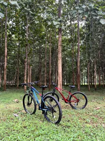Baan Korbsuk Teak Cabin 2 | Home in private forest - Image 5