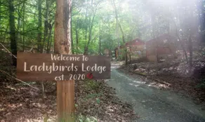 Ladybird's Lodge - dog friendly - Image 3
